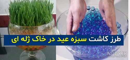 عکس سبزه با خاک ژله ای
