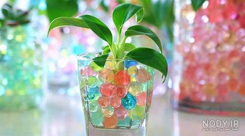عکس سبزه عید با خاک ژله ای