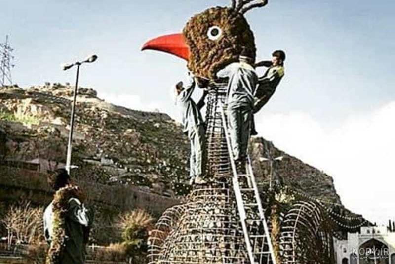 عکس طاووس قدیمی شیراز