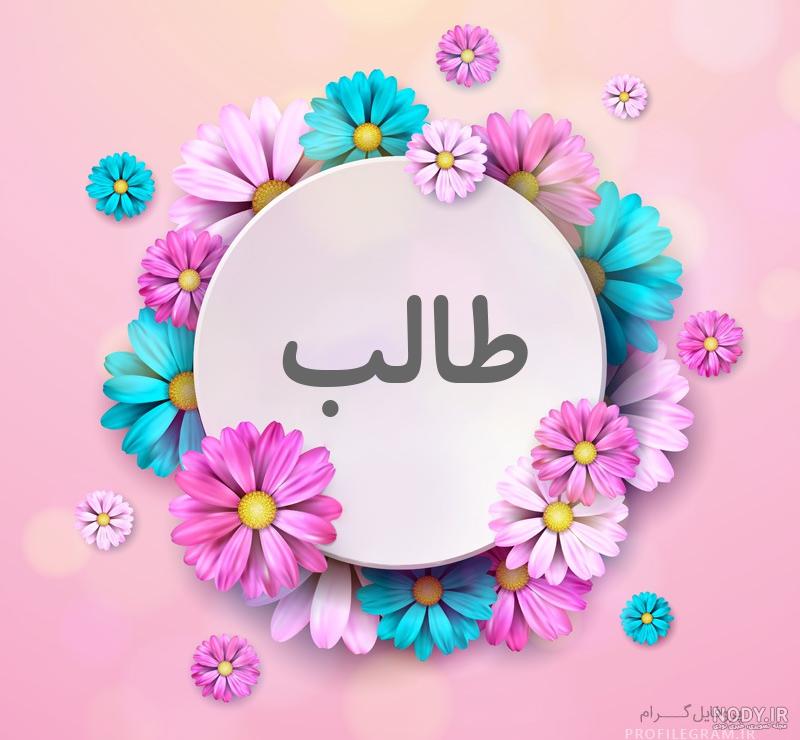 عکس نوشته اسم طالبی