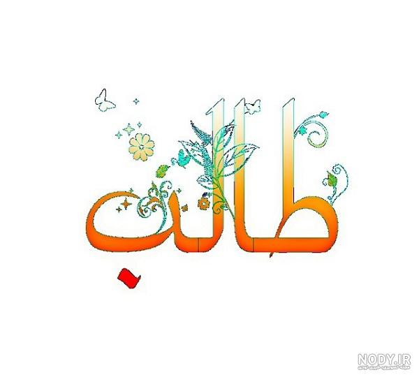 عکس نوشته طالب آملی