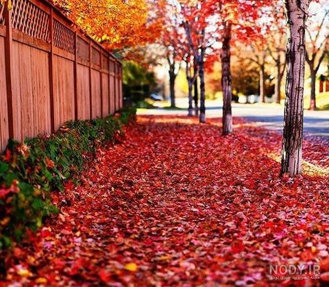 عکس پاییزی قشنگ