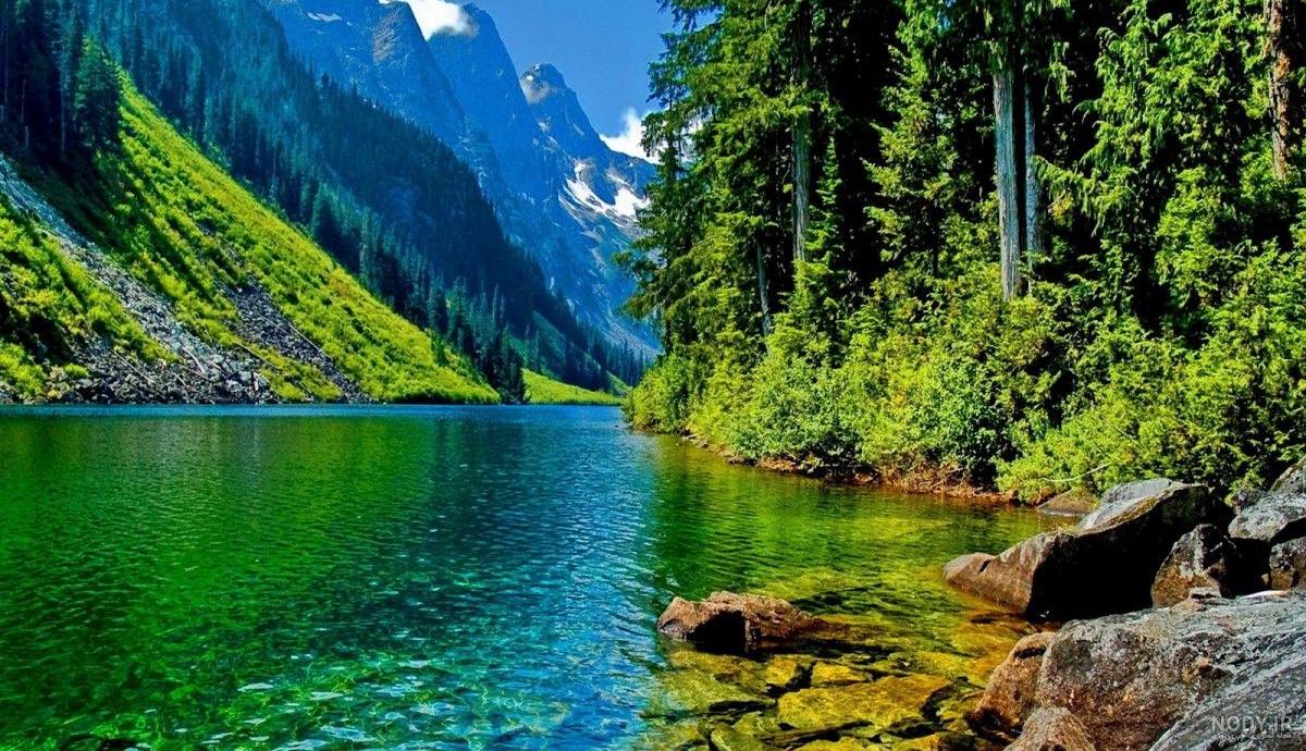 عکس پروفایل طبیعت نوشته دار
