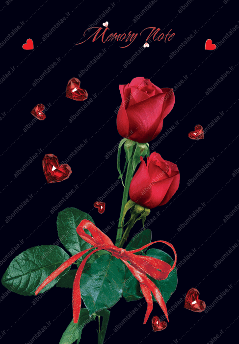 عکس گل سفید با زمینه مشکی
