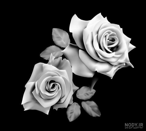 عکس گل پژمرده سیاه