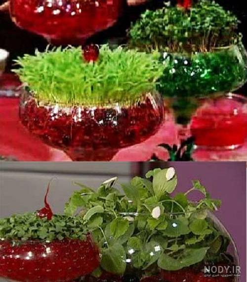 قیمت خاک ژله ای