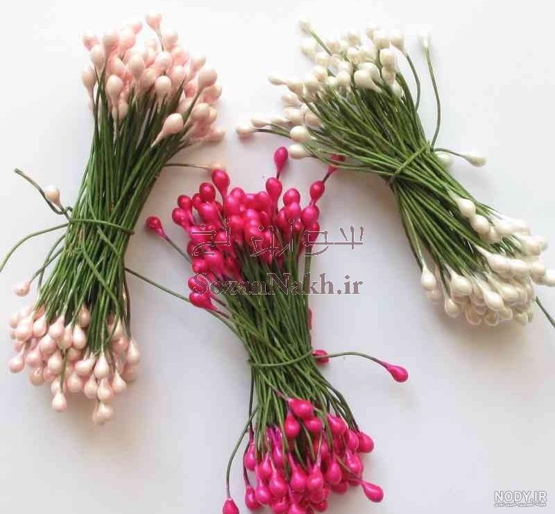 پرچم و مادگی گل پرچم و مادگی گل