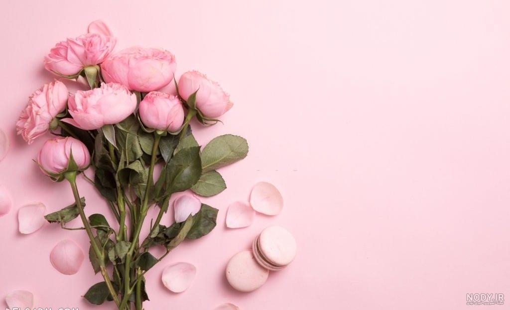  بک گراند گل