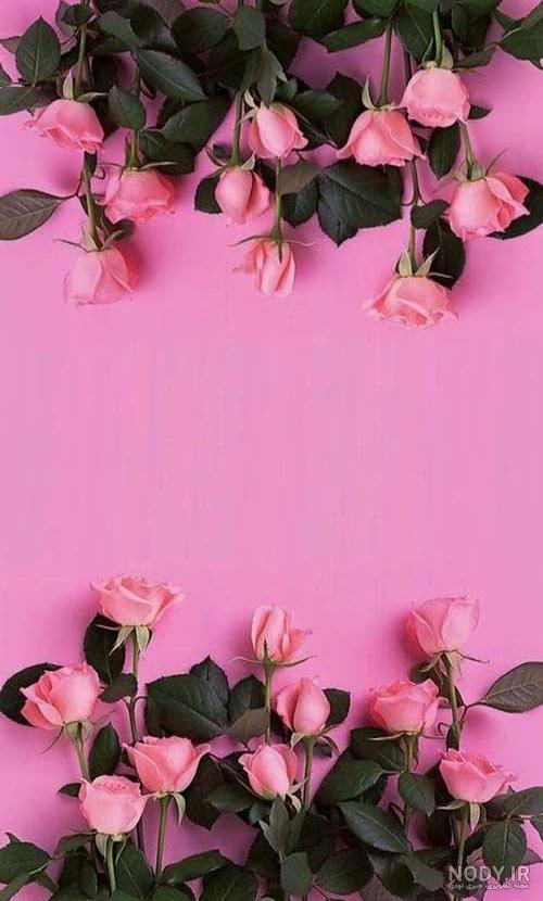  بک گراند گل