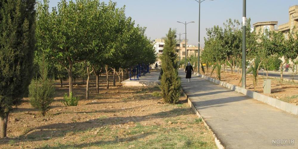 باغ عکاسی ارغوان شیراز باغ عکاسی ارغوان شیراز