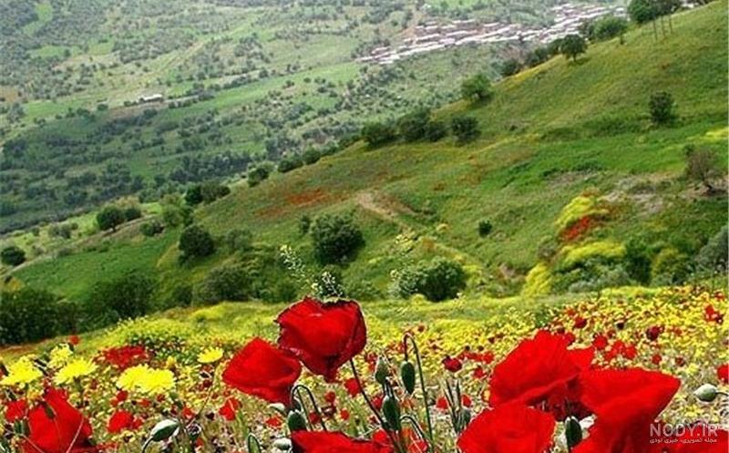 بلوار مطهری یاسوج بلوار مطهری یاسوج