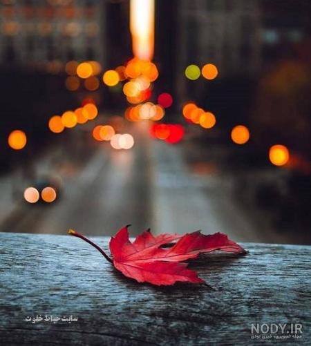 عکس برگ پاییزی فانتزی عکس برگ پاییزی فانتزی