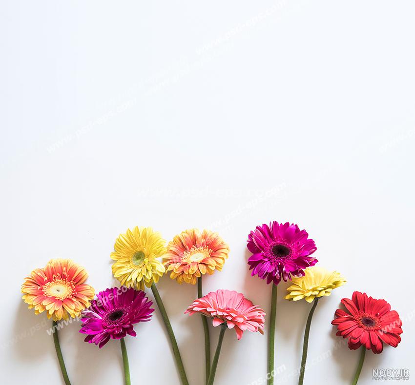 عکس بک گراند شاد