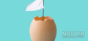 عکس طبیعت عکس طبیعت