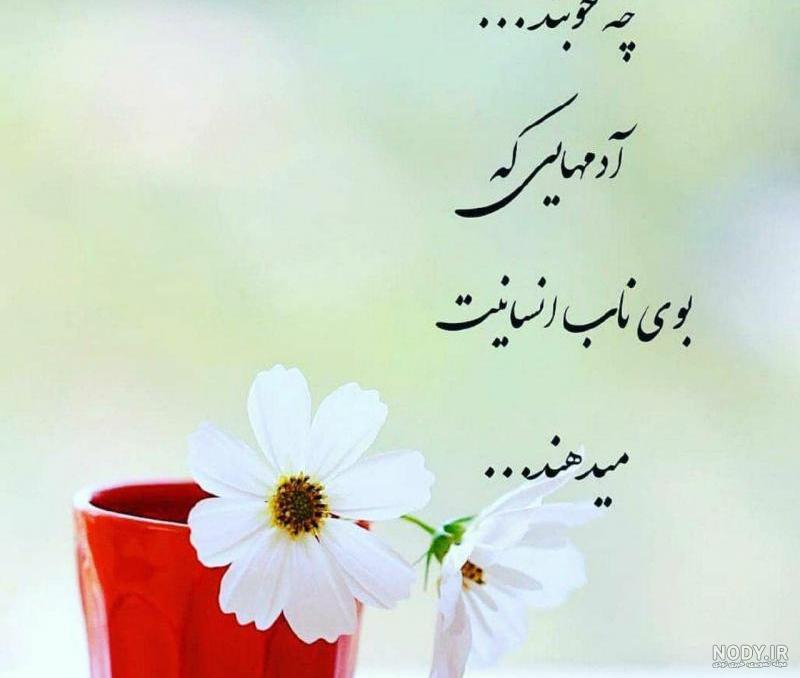 عکس نوشته بیشعوری عکس نوشته بیشعوری