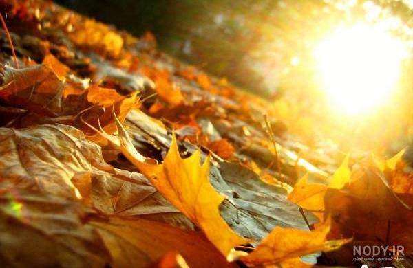 عکس پاییزی غمگین عکس پاییزی غمگین