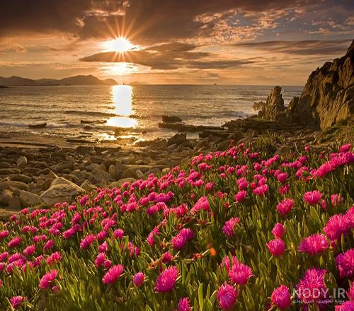 عکس پروفایل خفن عکس پروفایل خفن