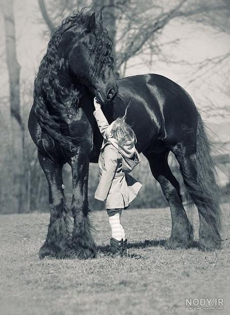 عکس پروفایل دختر با اسب زیبا