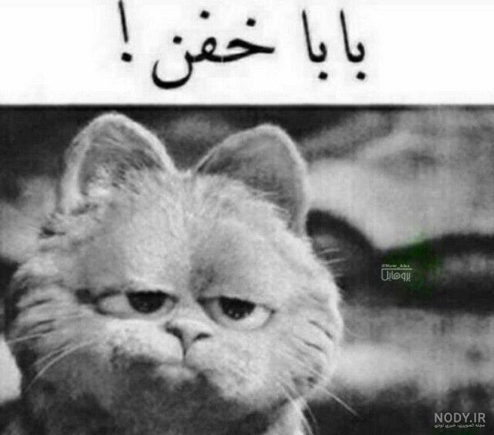 عکس پروفایل دختر کش