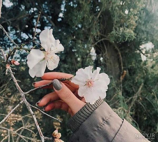 عکس پروفایل دخترونه بدون متن عکس پروفایل دخترونه بدون متن