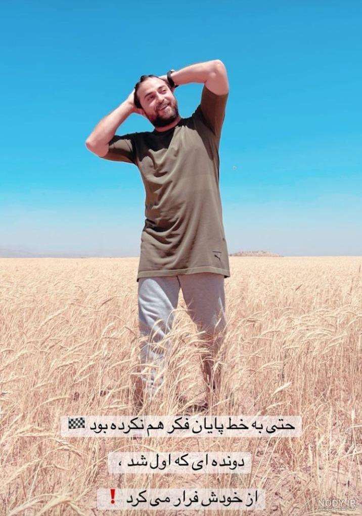 عکس گندم زار زرد عکس گندم زار زرد
