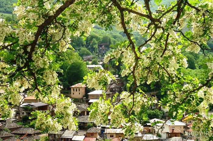فاصله تهران تا روستای کندلوس فاصله تهران تا روستای کندلوس