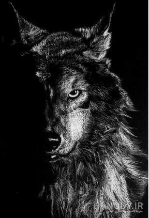 نقاشی بچه گرگ