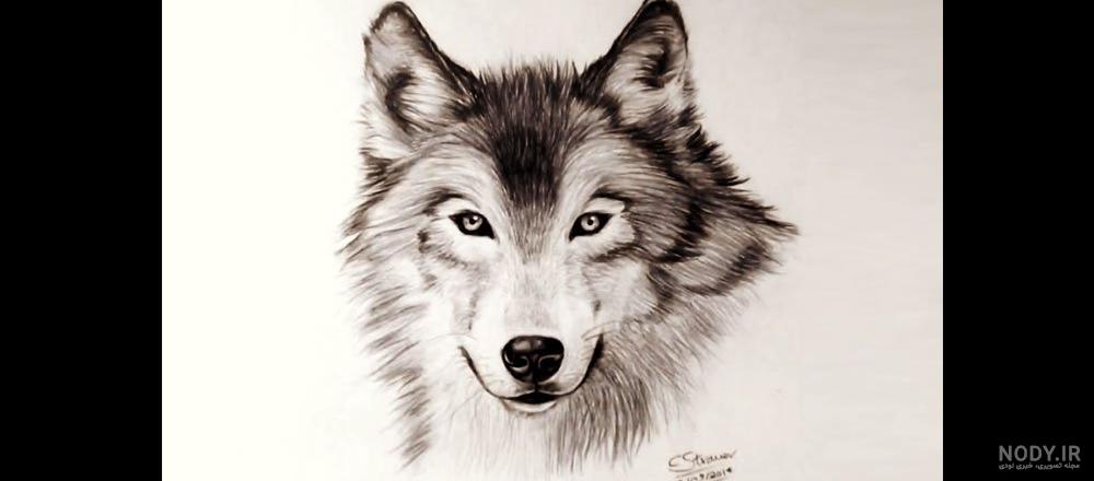نقاشی کودکانه گرگ و روباه