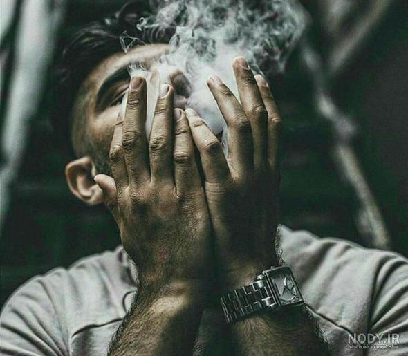 پروف شاخ اینستا پروف شاخ اینستا