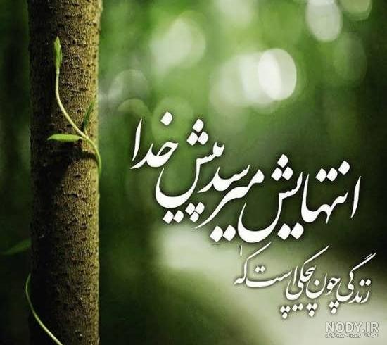 پروفایل امید به زندگی پروفایل امید به زندگی