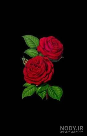 تصویر زمینه گوشی سامسونگ