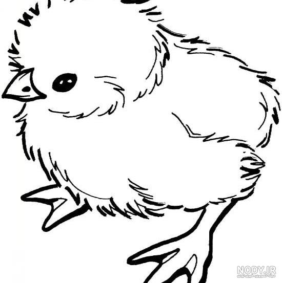 نقاشی کباب