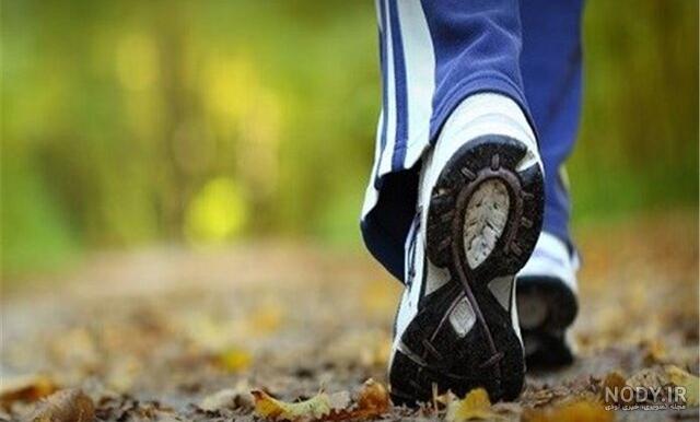 پیاده روی در صبح بهتر است یا عصر