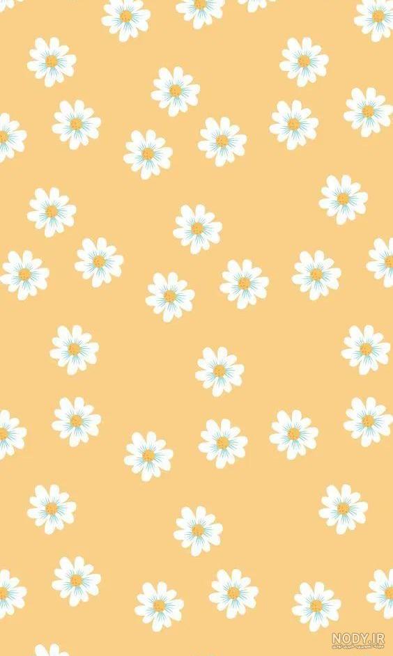 عکس زرد کیوت