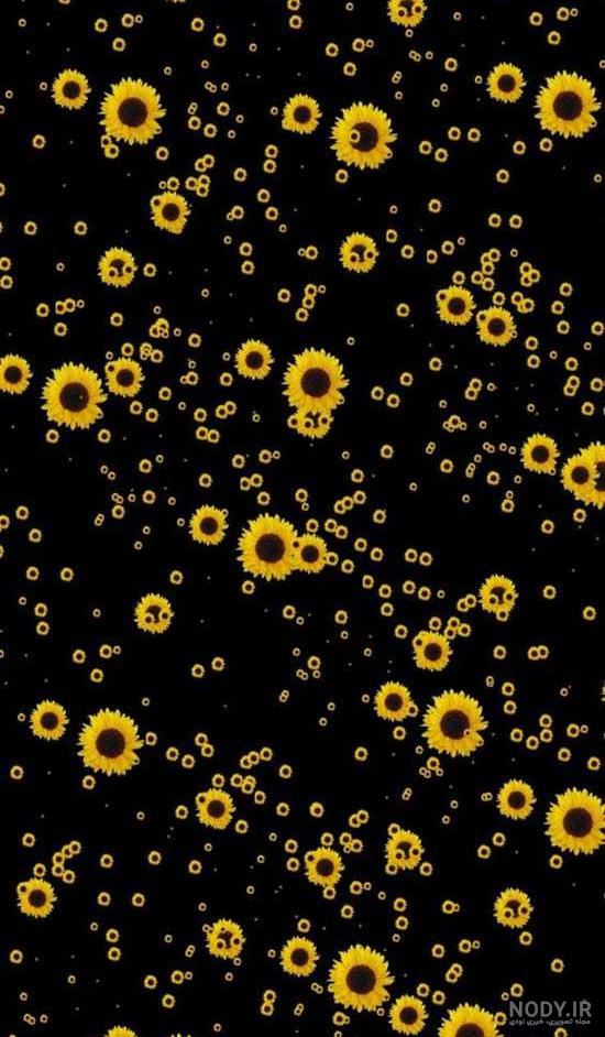 عکس زرد کیوت