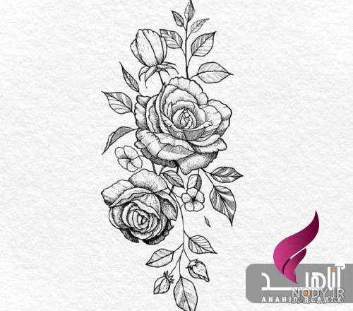 عکس خالی برای نوشتن اسم