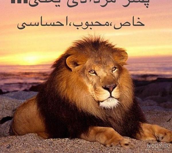 عکس مرداد ماهی عکس مرداد ماهی