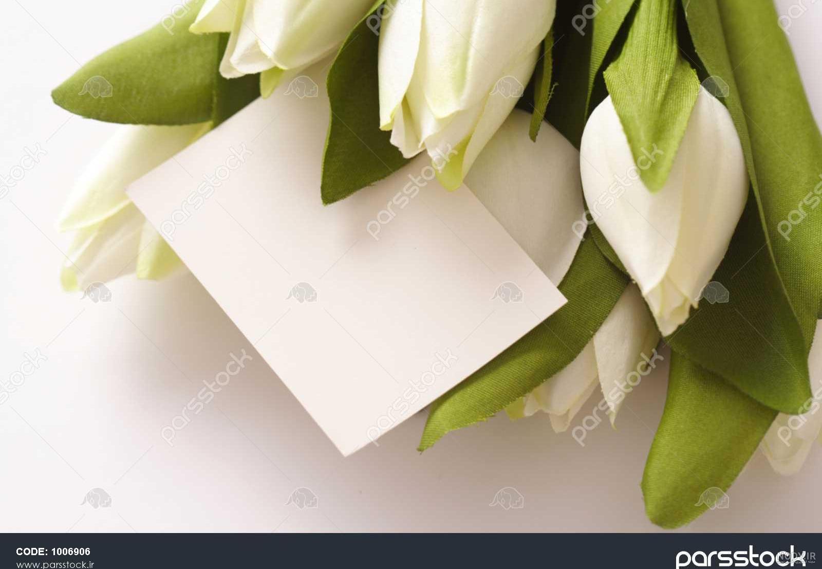 عکس نوشته های جای خالی مادر