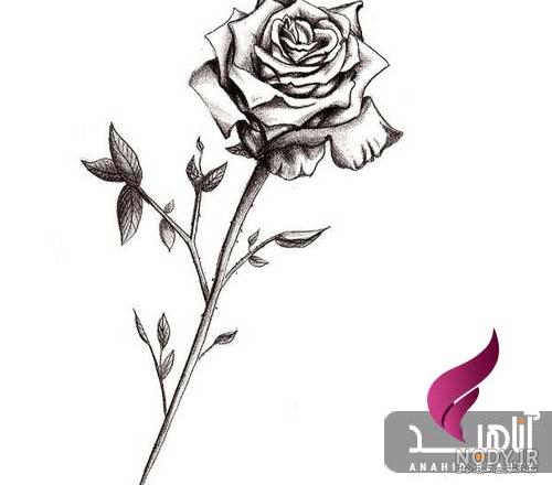 کادر ساده و شیک