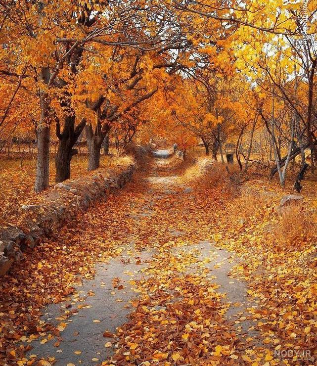 عکس طبیعت پاییزی با کیفیت بالا