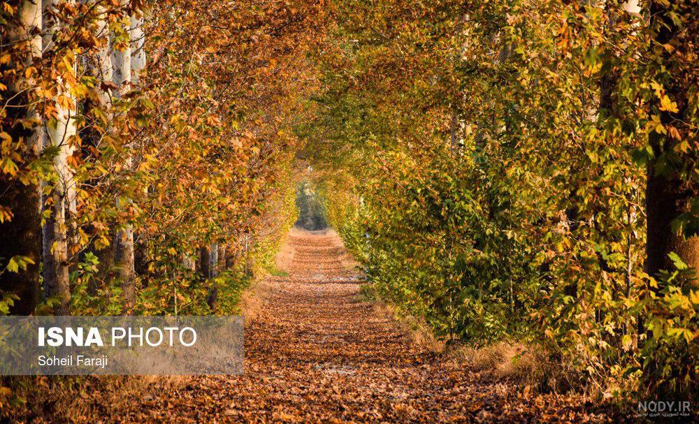 عکس خفن زیباترین تصاویر پاییزی ایران