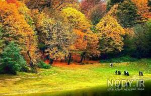 عکس طبیعت پاییزی با کیفیت بالا