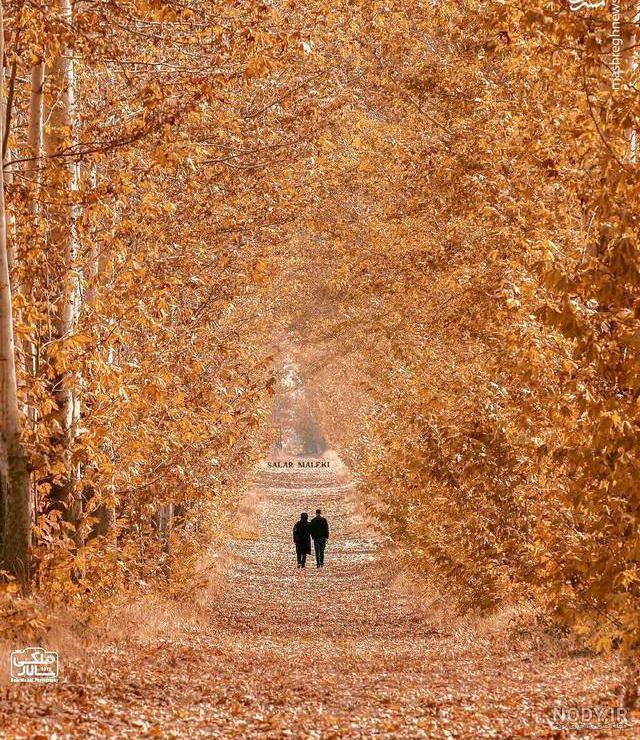 عکس خفن زیباترین تصاویر پاییزی ایران