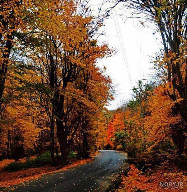 عکس طبیعت پاییزی با کیفیت بالا