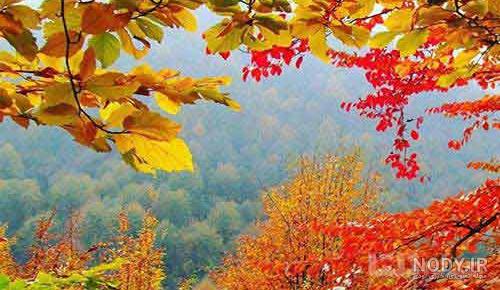 عکس طبیعت پاییزی با کیفیت بالا