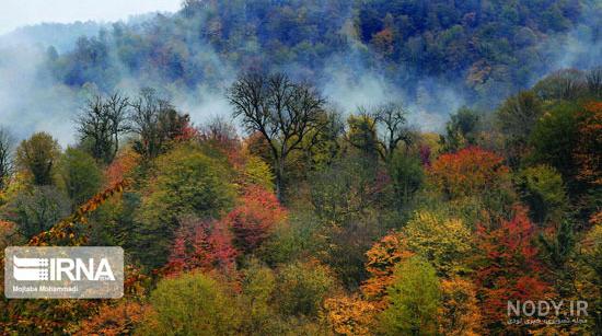 عکس طبیعت پاییزی با کیفیت بالا