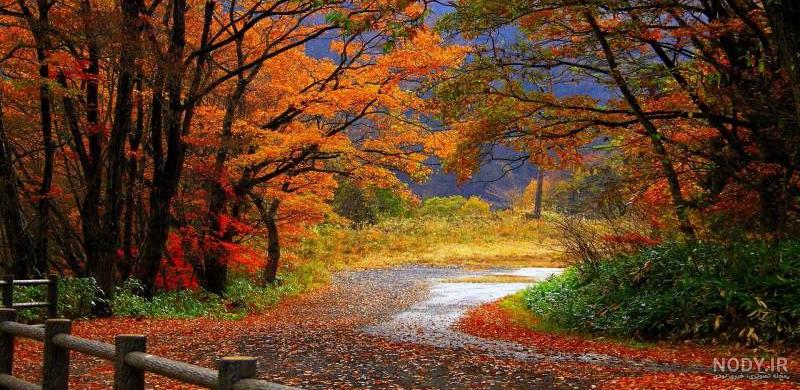 عکس طبیعت پاییزی با کیفیت بالا