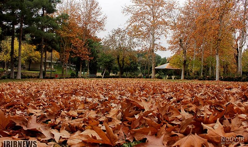 عکس طبیعت پاییزی با کیفیت بالا