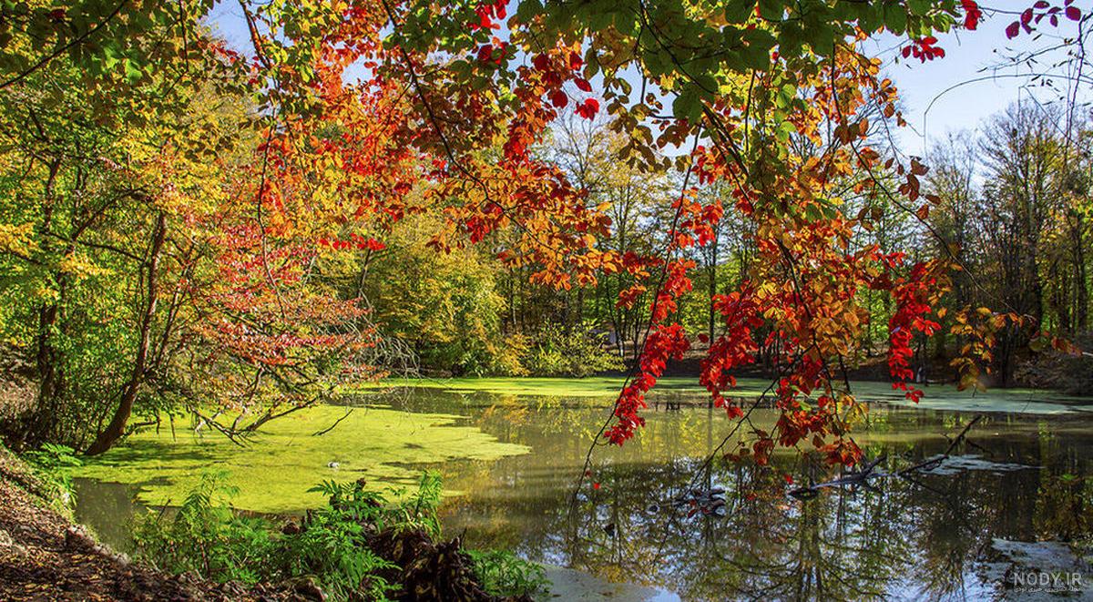 عکس طبیعت پاییزی با کیفیت بالا