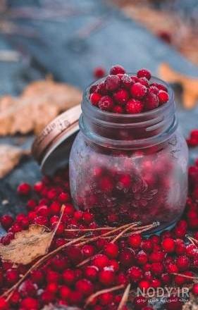 بک گراند غذا فانتزی بک گراند غذا فانتزی